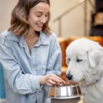 Ridiculous Ways to Waste Money on Pets
