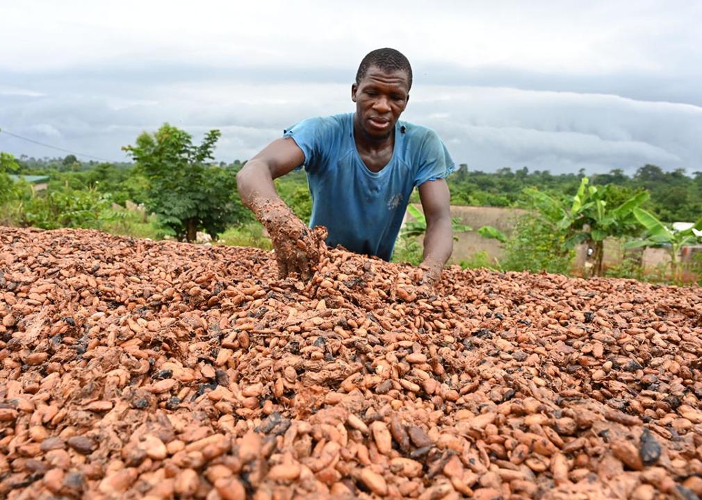DO NOT REUSE grist chocolate expensive