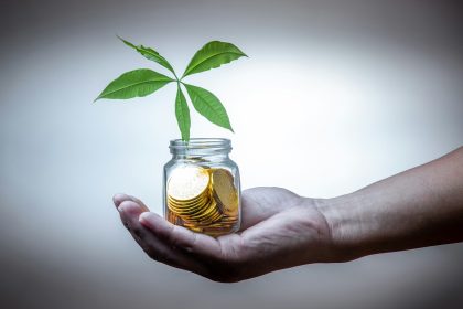 green-leafed plant; sinking fund