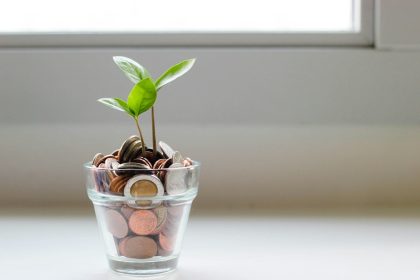 green plant in clear glass cup; sinking fund