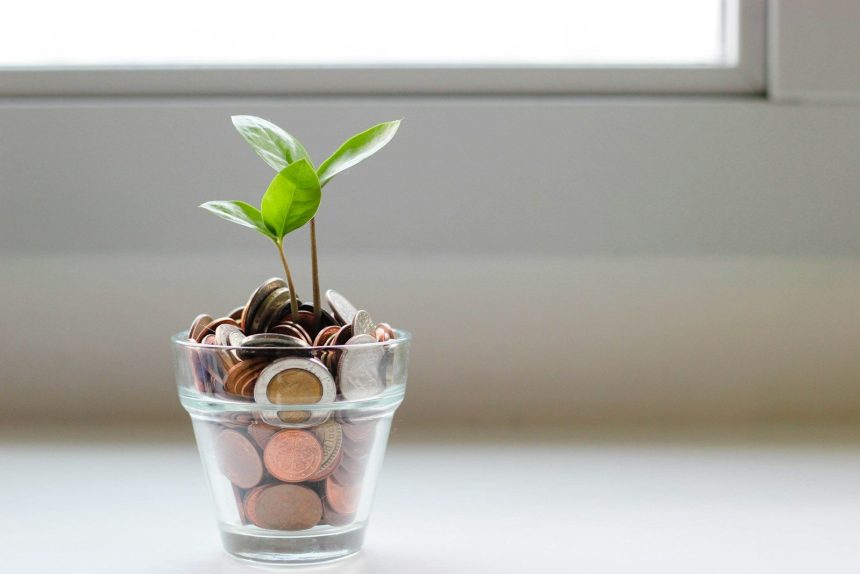 green plant in clear glass cup; sinking fund